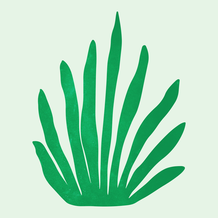 Meadow: Matisse Color Series I | Mid-Century Edition Coffee Mug Gallery Image 2