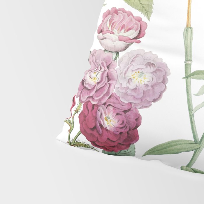 Botanical Plethora Pillow Sham Gallery Image 4