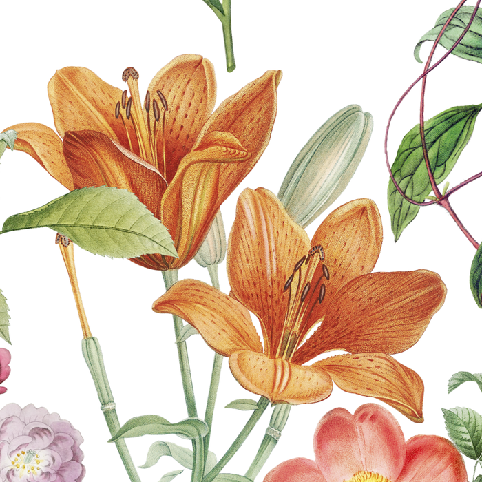 Botanical Plethora Coffee Mug Gallery Image 2