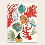 Sea Life Watercolor Notebook Gallery Image 4