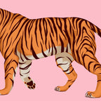 Tiger - Pink Coffee Mug Gallery Image 2