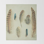 The Feather Collection Throw Blanket Gallery Image 2