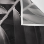 Bend - Modern Moody Botanical Wall Tapestry Gallery Image 3