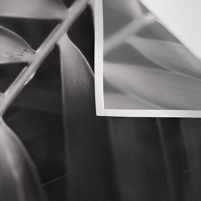 Bend - Modern Moody Botanical Wall Tapestry Gallery Image 3