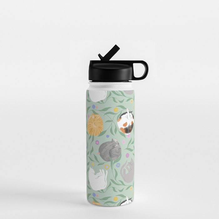 Cat Nap Water Bottle Gallery Image 1