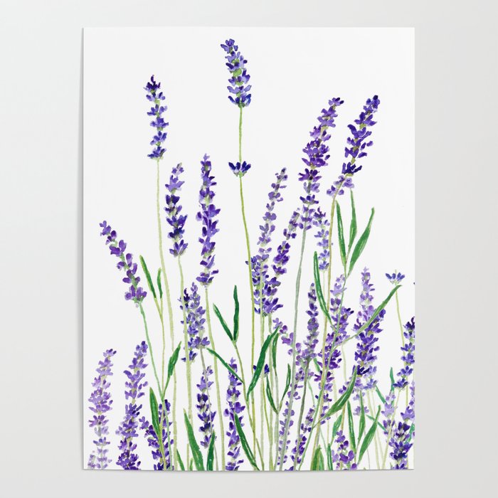 lavender watercolor horizontal Poster Gallery Image 4