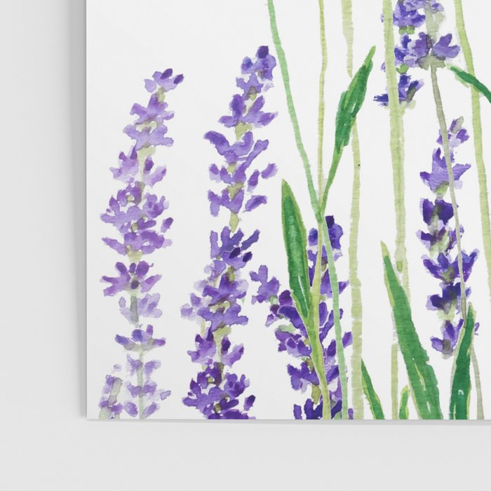 lavender watercolor horizontal Poster Gallery Image 3
