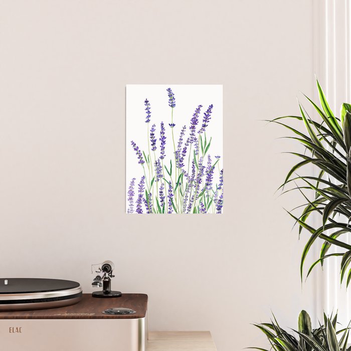lavender watercolor horizontal Poster Gallery Image 2