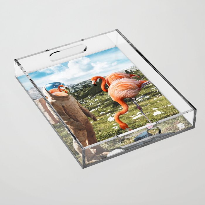 Alternate Reality, Surrealism Digital Photography, Space Flamingo Astronaut Collage Acrylic Tray Gallery Image 1
