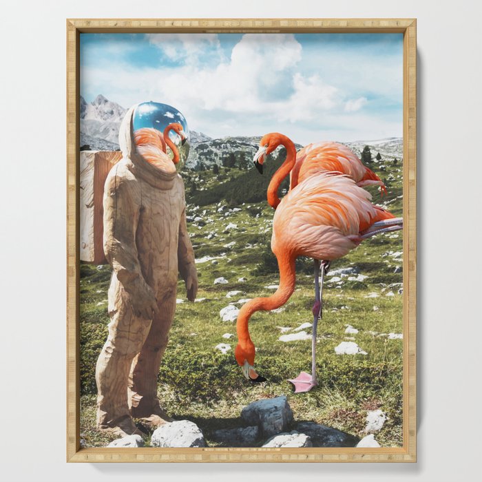 Alternate Reality, Surrealism Digital Photography, Space Flamingo Astronaut Collage Serving Tray Gallery Image 1