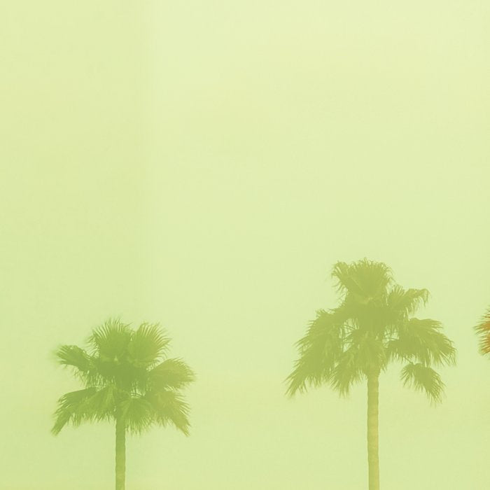 Four Palm Trees - Green Coffee Mug Gallery Image 2