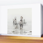 Camargue White Horses Running in Water - Nature Photography Wall Mural Gallery Image 2