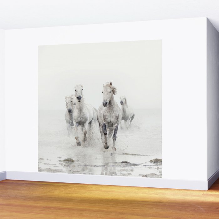 Camargue White Horses Running in Water - Nature Photography Wall Mural Gallery Image 2
