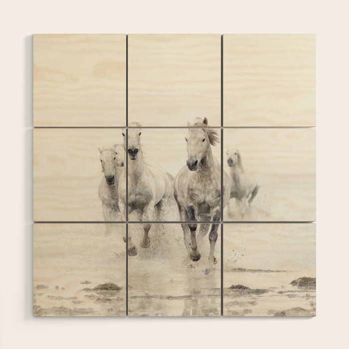Camargue White Horses Running in Water - Nature Photography Wood Wall Art Gallery Image 1