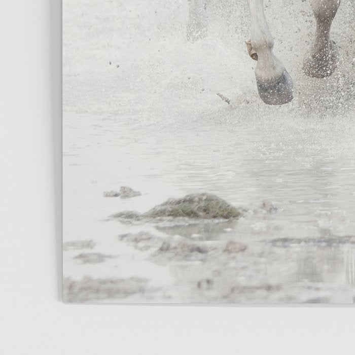 Camargue White Horses Running in Water - Nature Photography Poster Gallery Image 3