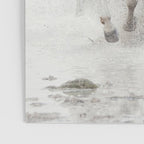 Camargue White Horses Running in Water - Nature Photography Poster Gallery Image 3