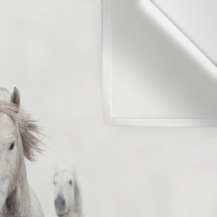 Camargue White Horses Running in Water - Nature Photography Wall Tapestry Gallery Image 3
