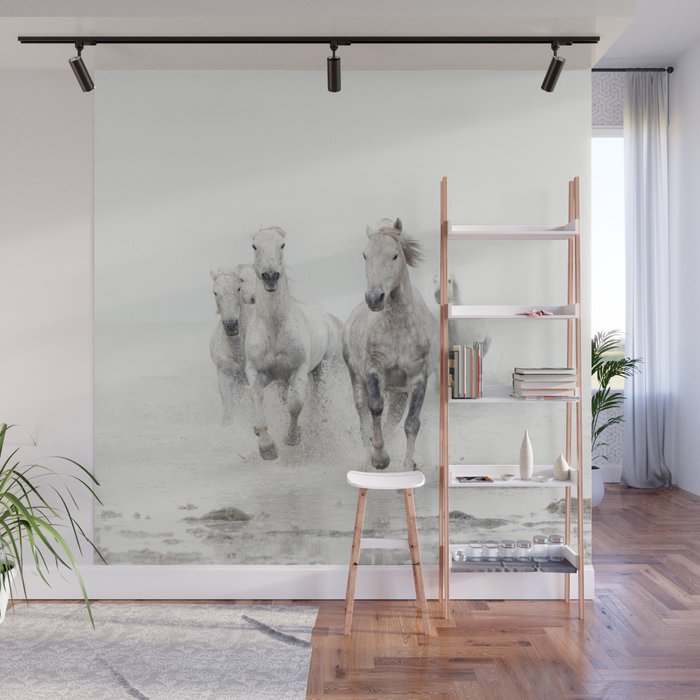 Camargue White Horses Running in Water - Nature Photography Wall Mural Gallery Image 1