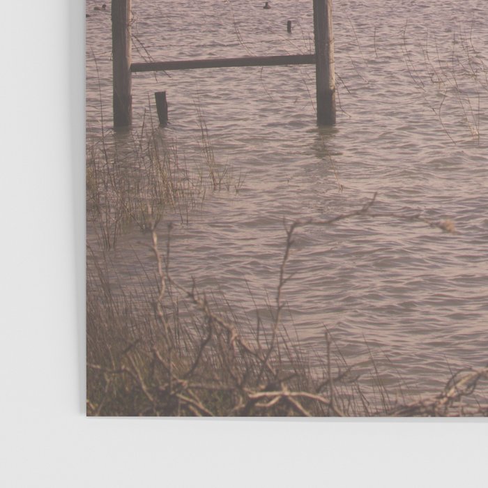 Coastal Morning Poster Gallery Image 3