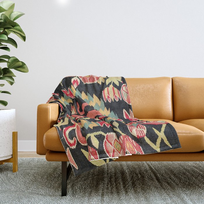 Agedyna Swedish Skåne Province Carriage Cushion Print Throw Blanket Gallery Image 1