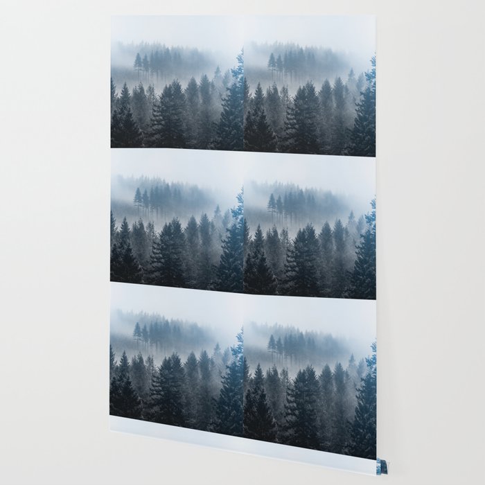 Pacific Northwest Forest Adventure II - Nature Photography Wallpaper Gallery Image 2
