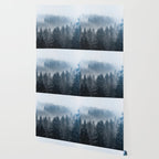 Pacific Northwest Forest Adventure II - Nature Photography Wallpaper Gallery Image 2