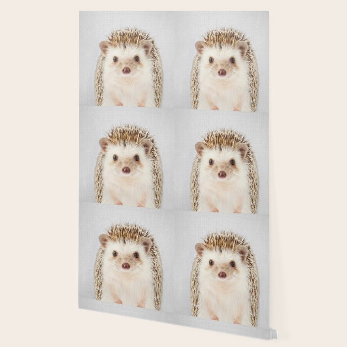 Hedgehog - Colorful Wallpaper Gallery Image 2