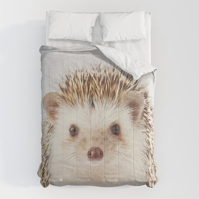 Hedgehog - Colorful Comforter Gallery Image 6
