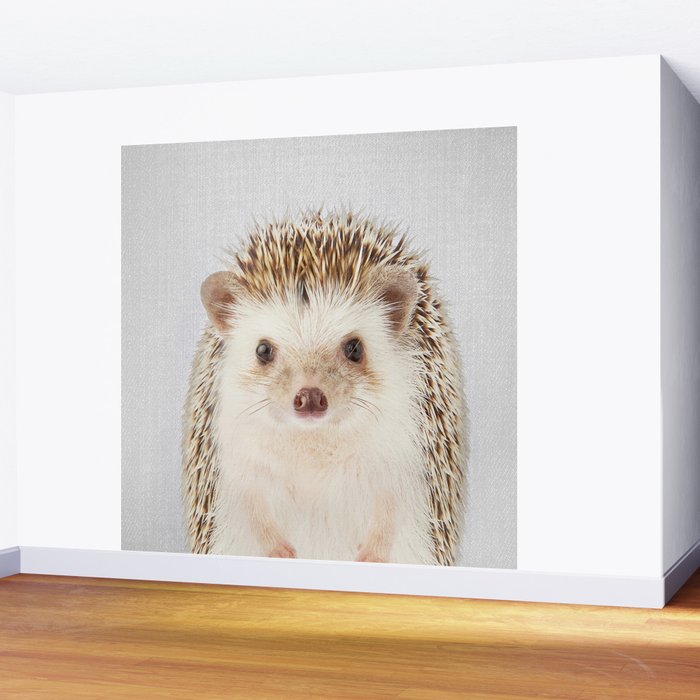 Hedgehog - Colorful Wall Mural Gallery Image 2