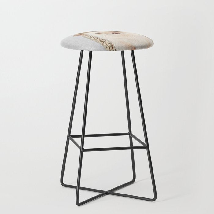 Hedgehog - Colorful Stool Gallery Image 1