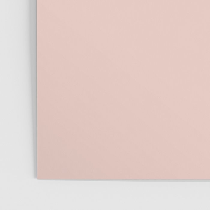 Blush - Solid Color Collection Poster Gallery Image 3
