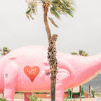 Pink Dinosaur | Cabazon Dinosaurs in Palm Springs California | Brontosaurus Love You Coffee Mug Gallery Image 2