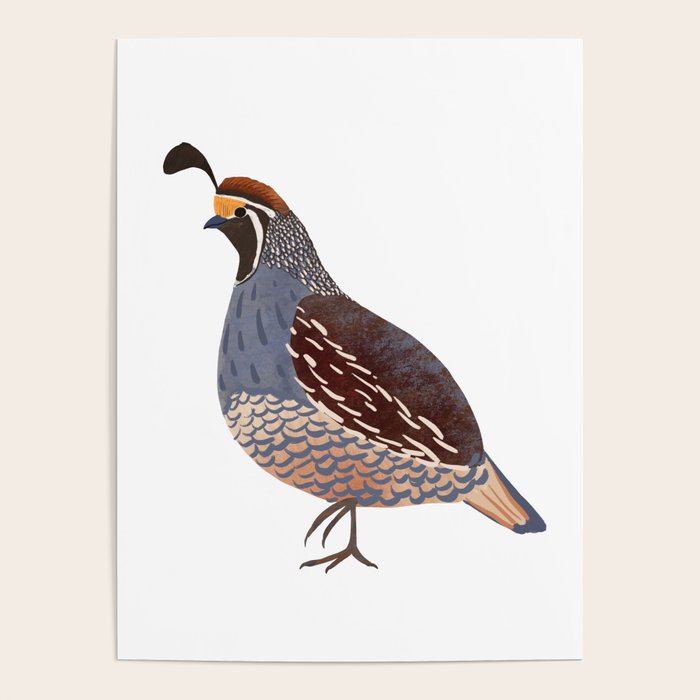 Quail Poster Gallery Image 1