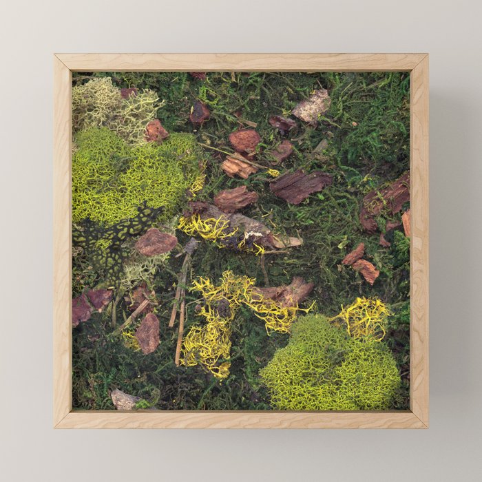 Forest Floor Mini Art Print Gallery Image 1