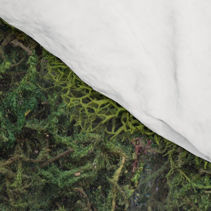 Forest Floor Comforter Gallery Image 4