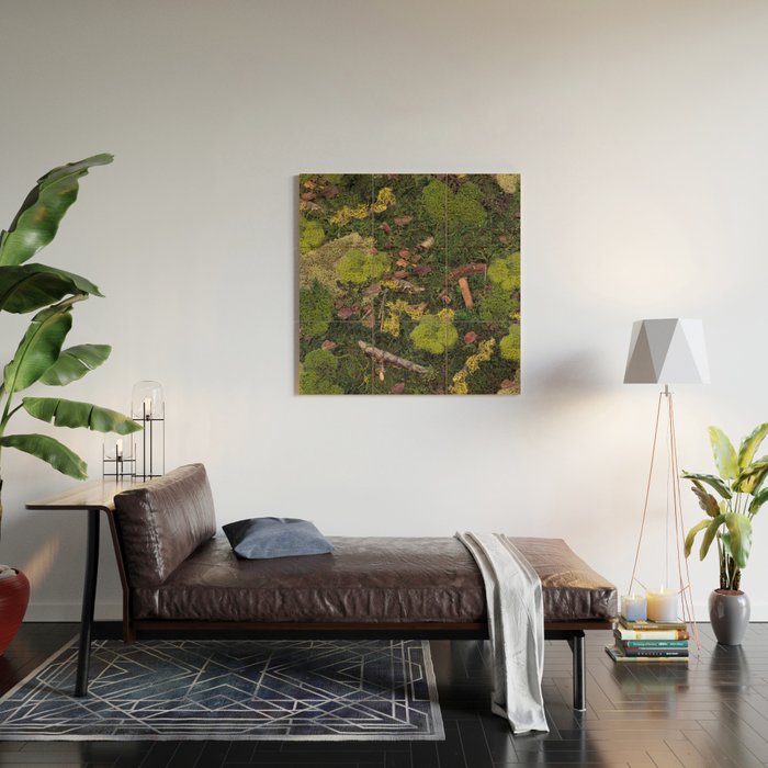 Forest Floor Wood Wall Art Gallery Image 2