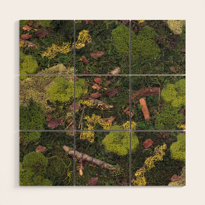 Forest Floor Wood Wall Art Gallery Image 1
