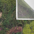 Forest Floor Wall Tapestry Gallery Image 3