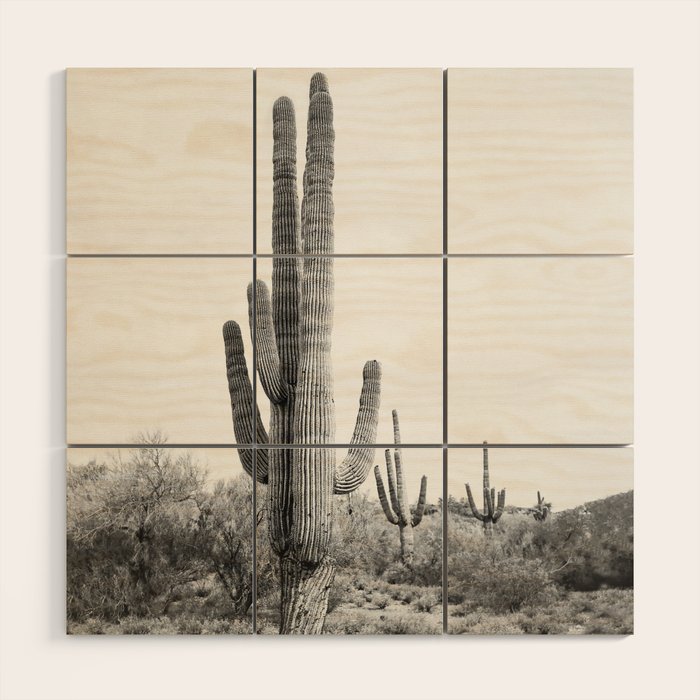 Desert Cactus BW Wood Wall Art Gallery Image 1