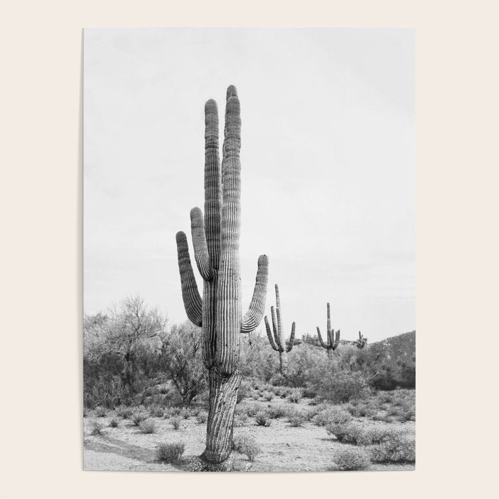 Desert Cactus BW Poster Gallery Image 4