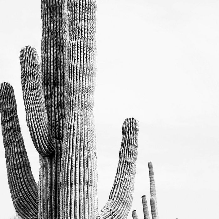 Desert Cactus BW Coffee Mug Gallery Image 2