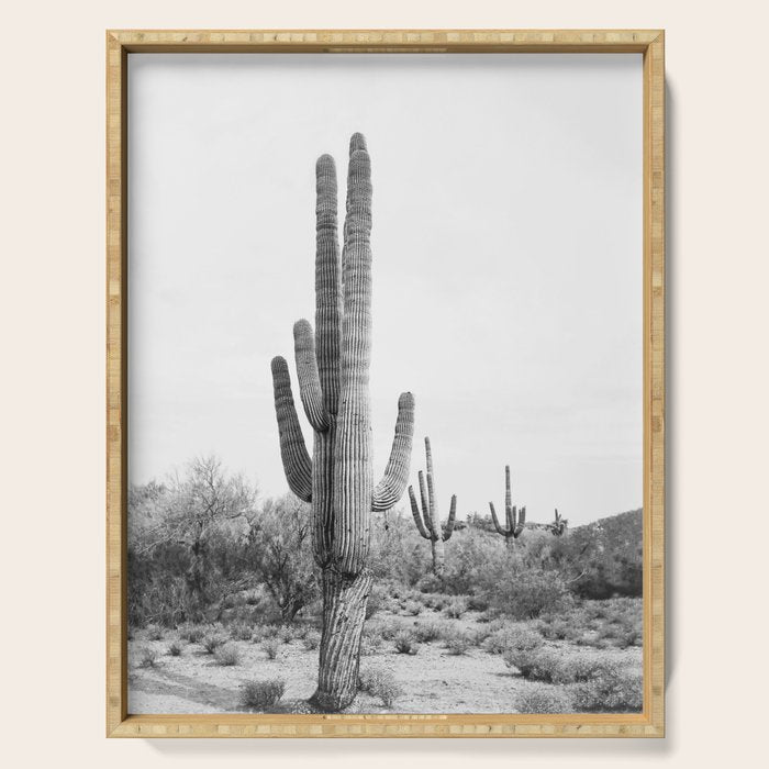 Desert Cactus BW Serving Tray Gallery Image 1