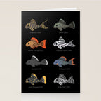 Pleco! Stationery Card Gallery Image 2
