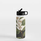 Beautiful Plant Leaves 1 Water Bottle Gallery Image 1