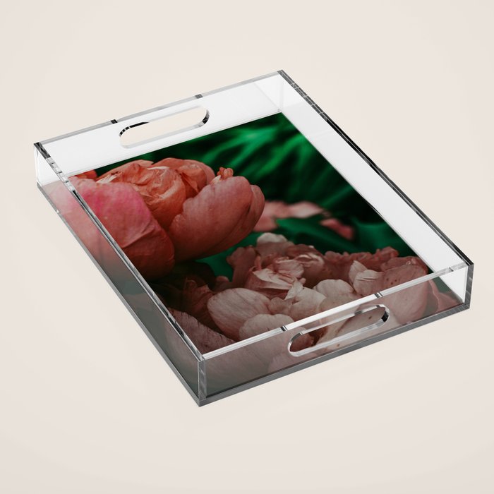 Pink Peony Flower Photographic Study 1 Acrylic Tray Gallery Image 1