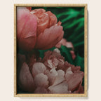 Pink Peony Flower Photographic Study 1 Serving Tray Gallery Image 1