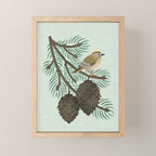 Goldcrest in the Winter Pines Mini Art Print Gallery Image 1