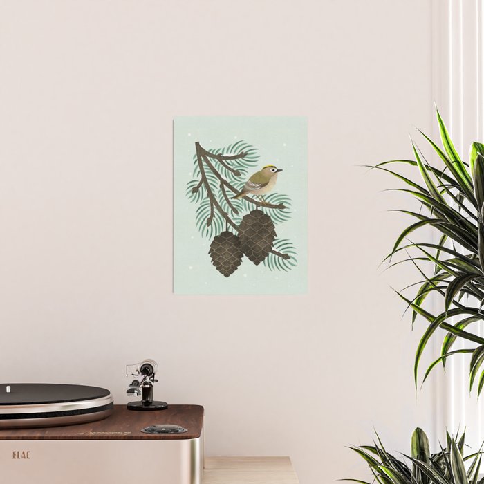 Goldcrest in the Winter Pines Poster Gallery Image 2