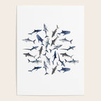 SHARKS PATTERN (NAVY BLUE) Poster Gallery Image 4