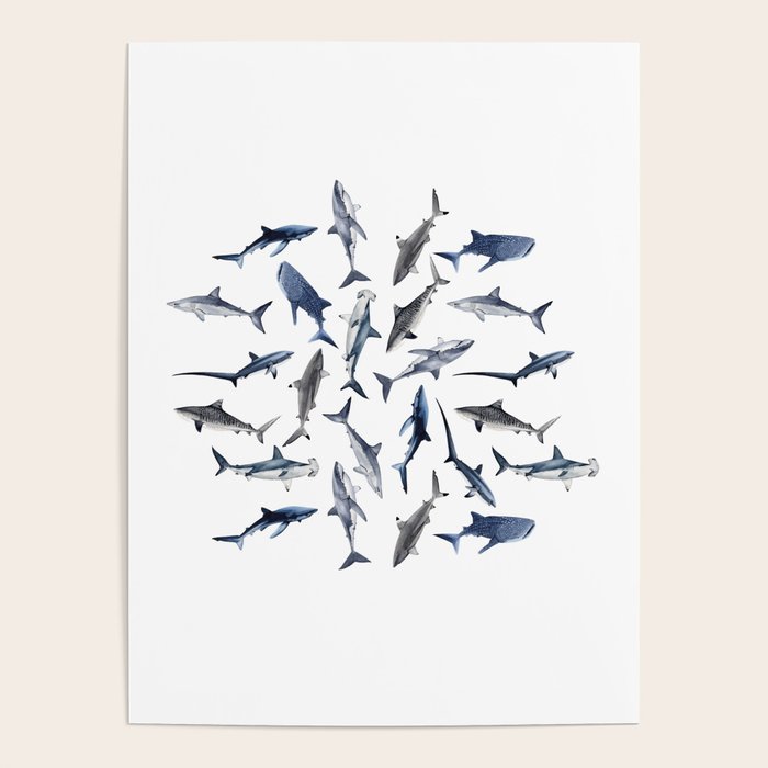 SHARKS PATTERN (NAVY BLUE) Poster Gallery Image 4